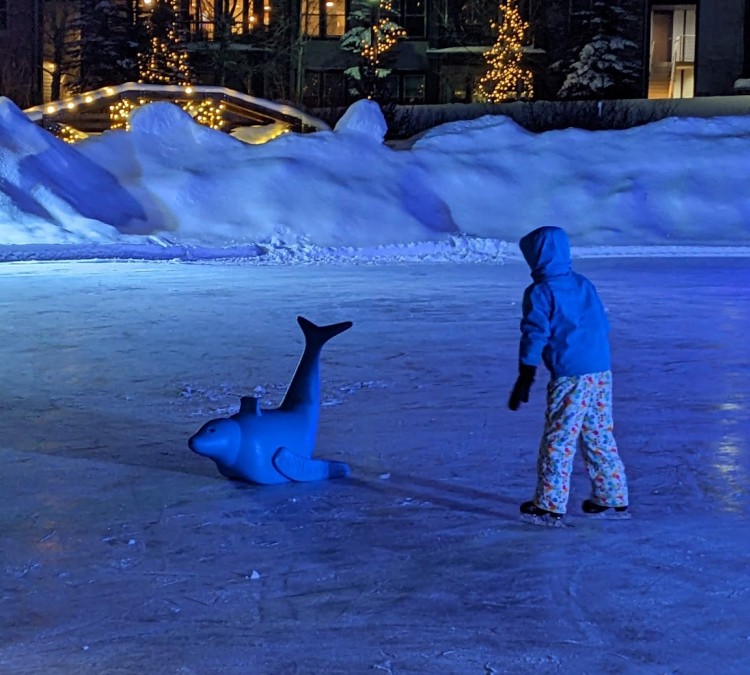 Village Gazebo & Ice Skating (Winter&nbspPark,&nbspCO)